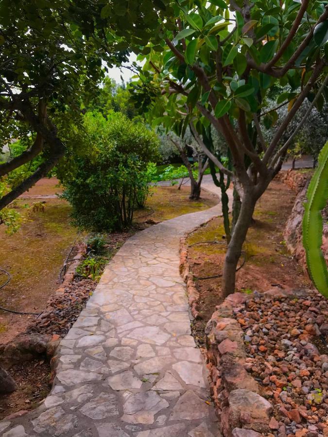 Villa La Torreta Ref 056 Кастельон-де-ла-Плана Экстерьер фото