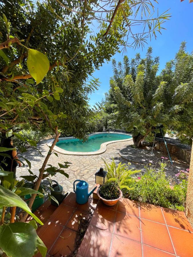 Villa La Torreta Ref 056 Кастельон-де-ла-Плана Экстерьер фото