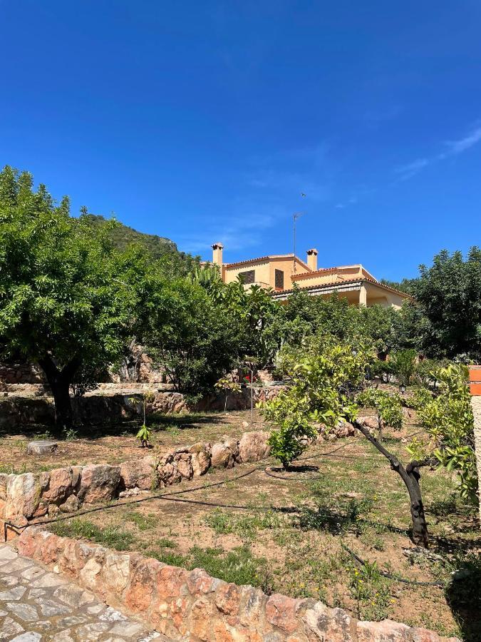 Villa La Torreta Ref 056 Кастельон-де-ла-Плана Экстерьер фото